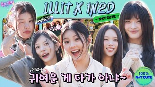 [ENG SUB] EP.53-1 ILLIT | The long-awaited team dinner day after 1 year | Idol 1N2D