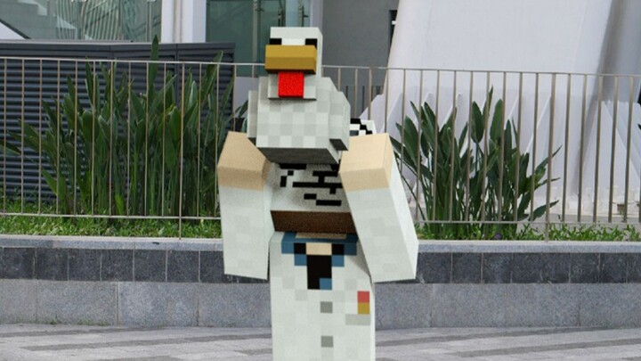 300,000 low-definition camera