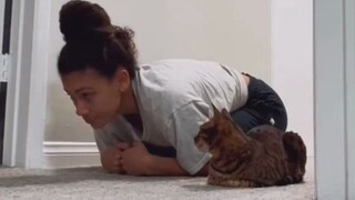 I imitated the cat's hands, and the scene was very embarrassing for a while.