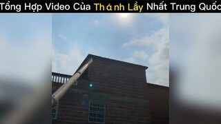 Tổng hợp video của thánh lầy😂