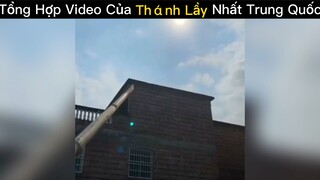 Tổng hợp video của thánh lầy😂