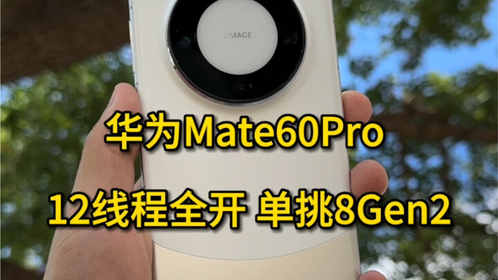 Huawei Mate 60 Pro with all 12 threads enabled goes head-to-head with the Snapdragon 8 Gen 2.
