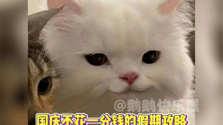 คู่มือเที่ยววันชาติแบบไม่เสียเงินสักบาท รีบเซฟไว้เลย!