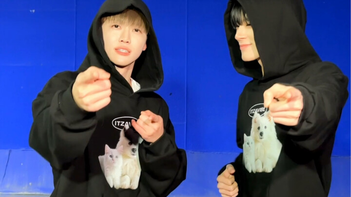 【NCT DREAM】Lovely 🐈🐕♡.•*