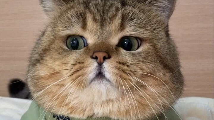 Perumpamaan terakhir itu juga keterlaluan banget... (kok bisa kepikiran ya 😂)