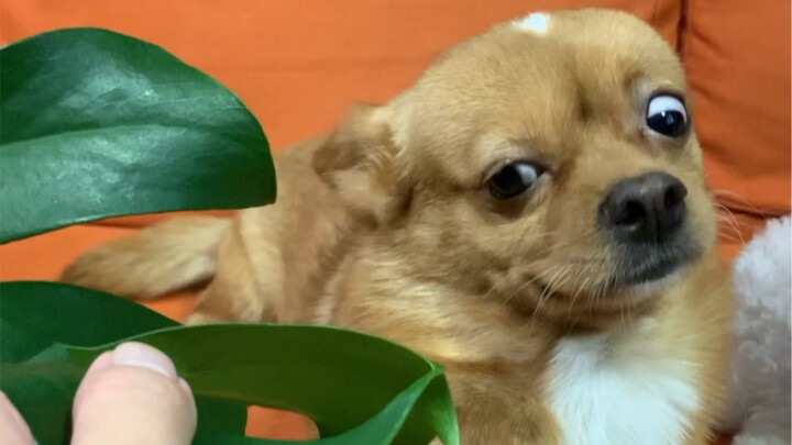 Apa yang harus dilakukan kalau anak nakal nggak berani mengakui kesalahannya? Di saat seperti ini, k