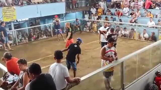 unang laban anak ng dalusapi ko...🐓🍁🐓