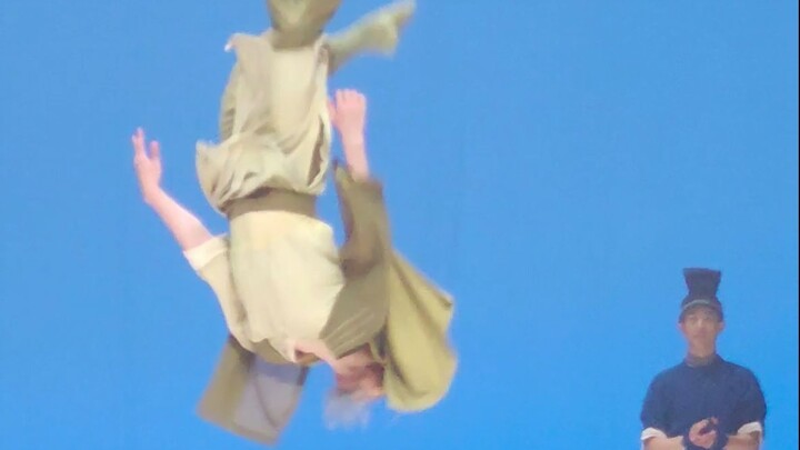 They are really good at flying!