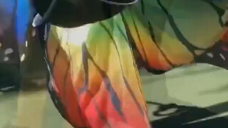 Butterfly Breath!