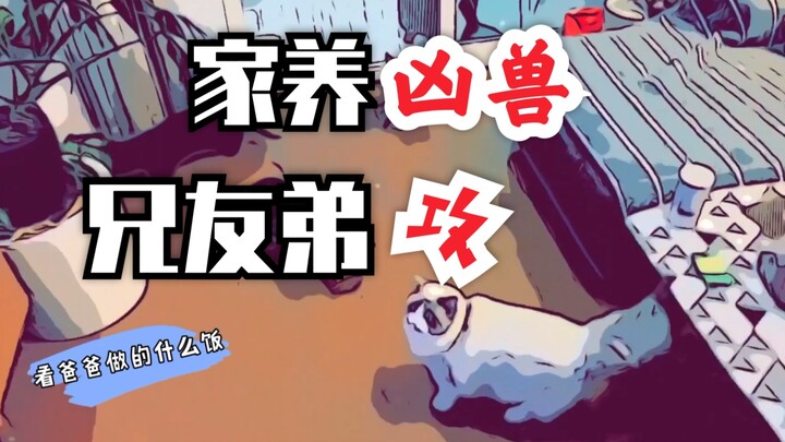 Couples from manga. | When two people live together for a long time, nothing really matters anymore.