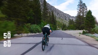 إذًا، ما هو الدواء الحقيقي للحياة؟