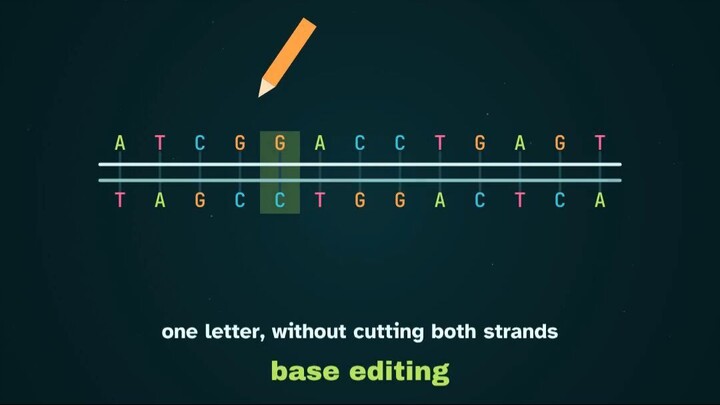 Crispr-scissors-for-dna