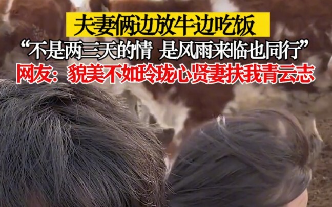 Hai vợ chồng vừa chăn bò vừa ăn cơm, cùng nhau chia ngọt sẻ bùi, sát cánh xây dựng trang trại!