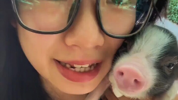 ChuChu aku juga sudah jadi putri kecil lho～#XiaoQiAneh #BahasaTangshan #BabiHarumKecil