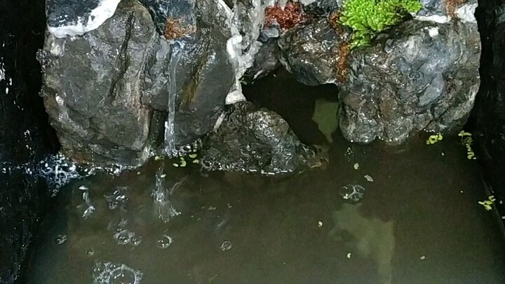 Air keruh seperti dia yg dingin