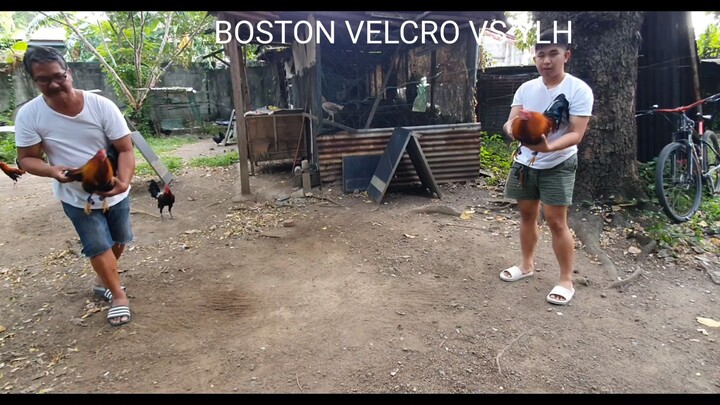 boston velcro