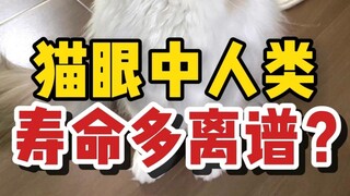 From a cat's perspective, how absurdly long is human lifespan?