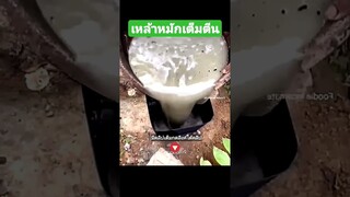 เหล้าหมักเต็มตีน
