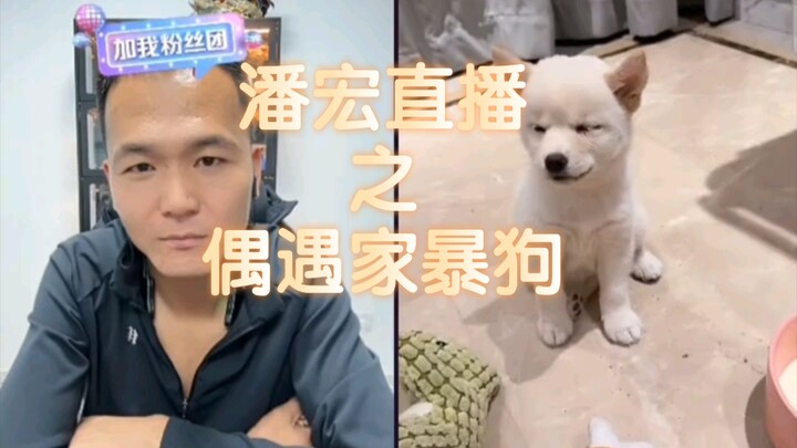 【วิดีโอย้อนหลังไลฟ์สดของพานหง】“ไอ้หมาตบเมียหน้าเหมือนหมู”