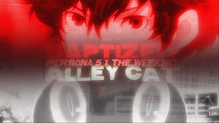 "BAPTIZED ALLEYCAT" // Persona 5 x The Weeknd (Reyrzy) 🐈 Cover By AUSHAV [30th Anniversary Tribute]