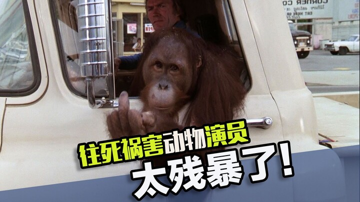 The cruel ways animals are abused in movies—killing them is bad enough, but don’t go out of your way