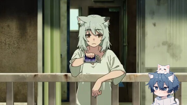 Kisah kucing Pemalas - Yani Neko