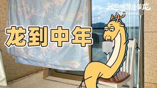 当代中年人生活图鉴 | 原创动画 | 我的爸爸是条龙哦