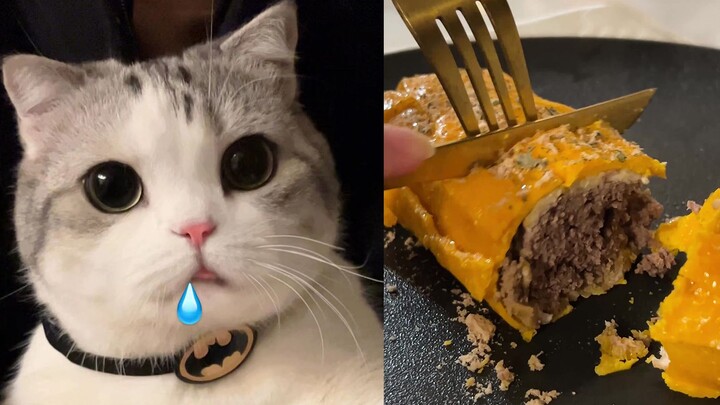 Cách làm bít tết Wellington đơn giản phiên bản “cơm cho mèo”