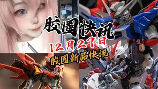 【12月27日胶圈快讯】