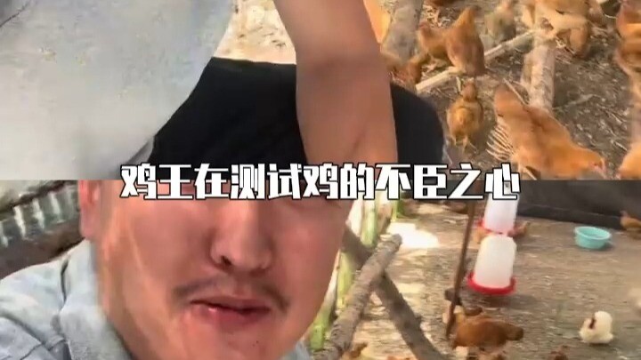 Chicken King