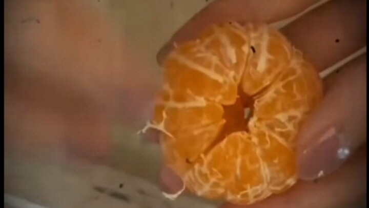 CPU-nya sampai terbakar gara-gara buah jeruk