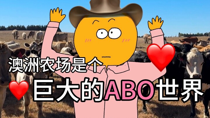 [Aussie Study Abroad] Went to study abroad… but ended up raising cows lol