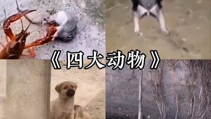 ก่อตั้งประเทศห้ามกลายเป็นวิญญาณ