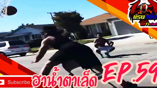 คลิปตลกต่างประเทศ ทั้งขำและสงสาร Best the Fails 2020