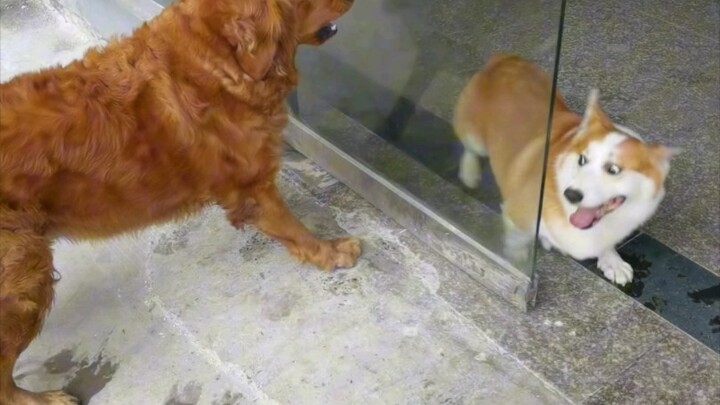 Hurry up! My mouth is itching like crazy!