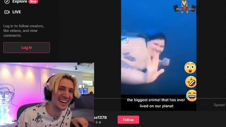 xQc phát ngượng với “bộ phim tài liệu về cá voi xanh”