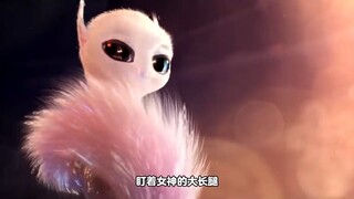 猴子将尾巴缠绕灯泡，拼命发出光斑，以此来寻找伴侣