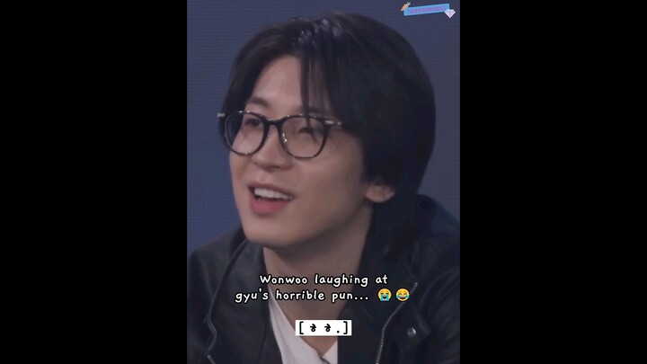 wonwoo is the only one who laugh at mingyu's horrible pun 😭😂 #seventeen #mingyu #wonwoo #GOING_SVT