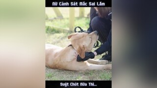 xuhuongtiktok xuhuong phimhay  bietdoinuchienlang phimtrungquoc chó_cưng reviewfilm TikTokSoiPhim