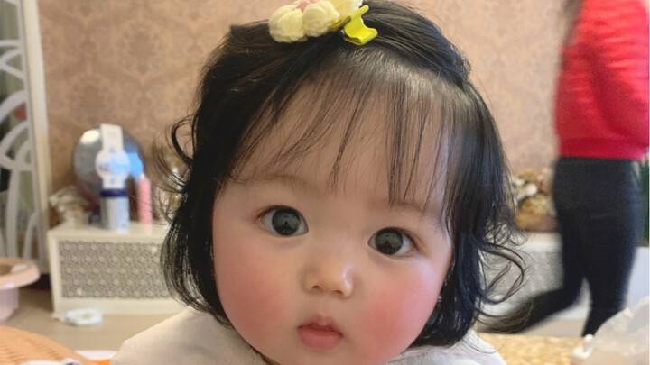 ประวัติวิวัฒนาการของปลาปักเป้ามนุษย์