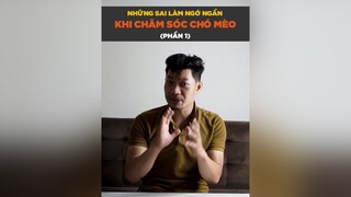 Những sai lầm ngớ ngẩn khi chăm sóc chó mèo petonesaigon tuitienpet dcgr