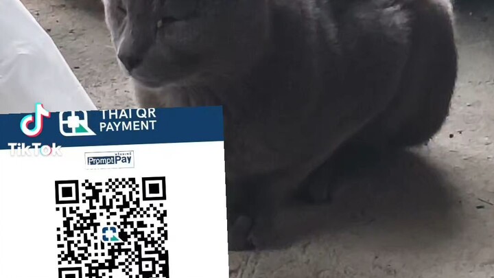 น้องฝรั่ง