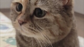 Why didn’t you wake me up when you went to sleep?