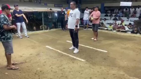 3-cock derby ( last fight )