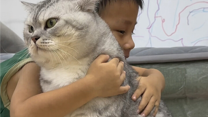 Little brother hugs Dazhuang