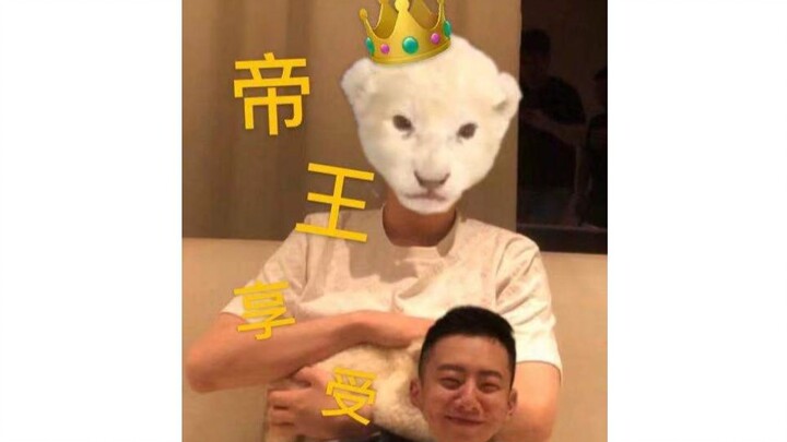 The White Lion’s Imperial Indulgence