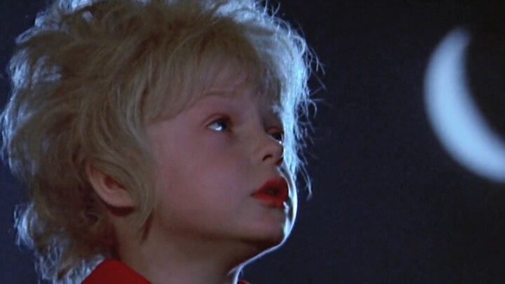 Jika kamu juga jatuh cinta pada sekuntum mawar di suatu planet.