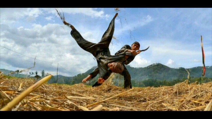 pencak silat Indonesia