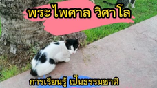 การเรียนรู้ เป็นธรรมชาติของมนุษย์