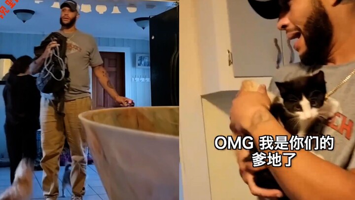 Tough guy with a soft heart? A tough guy discovers two extra cats at home—going from disgust to true